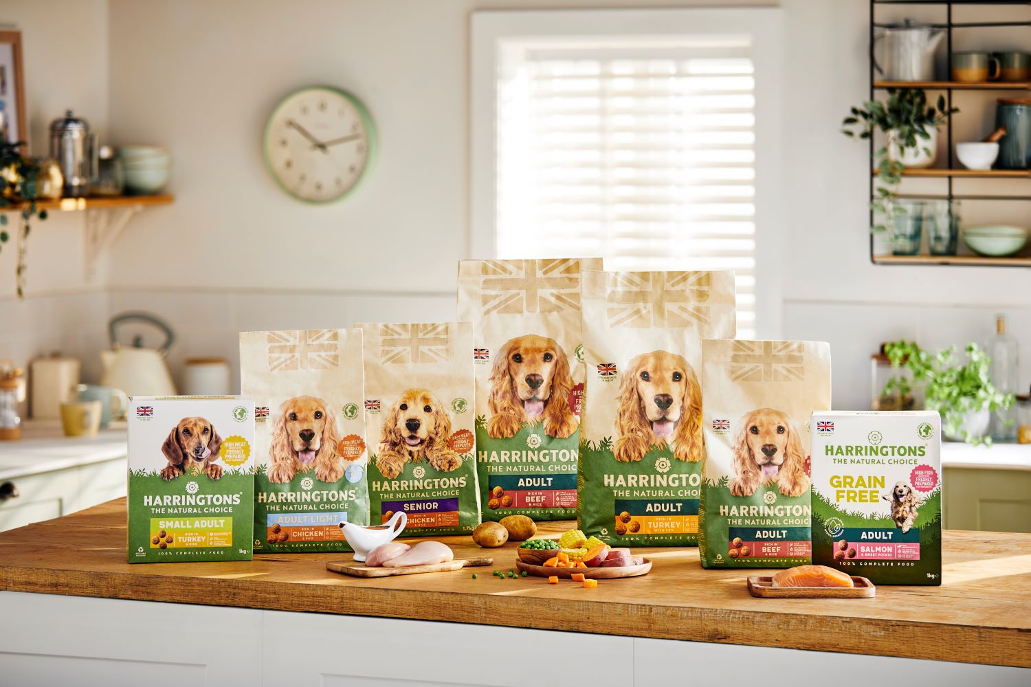 Best dog diet best sale