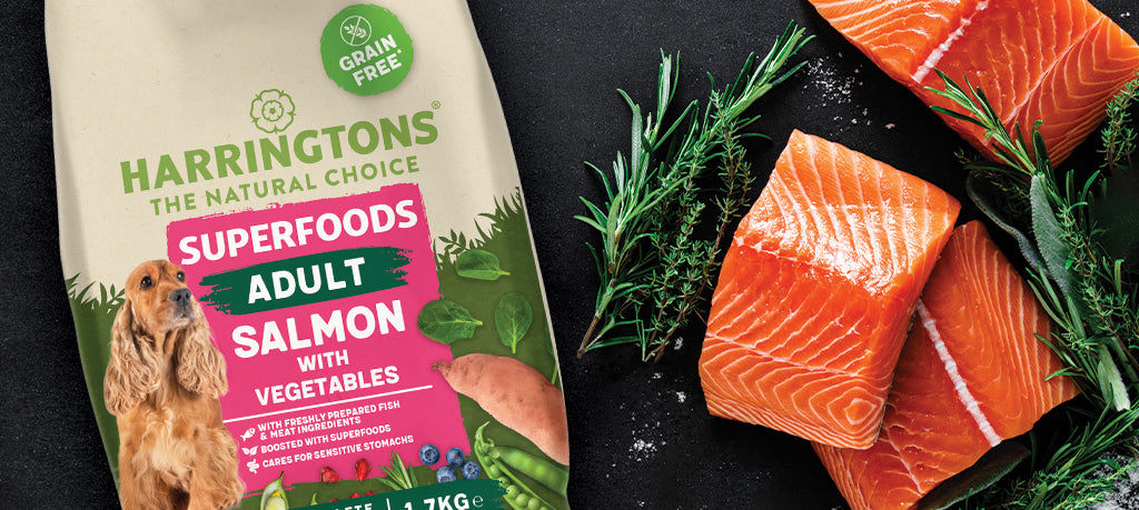 Introducing our new grain free Superfoods Salmon dog food