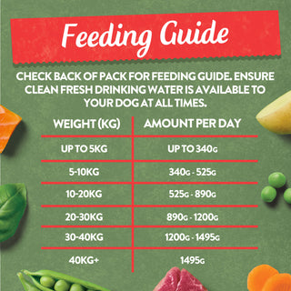 Grain Free Classics Selection Wet Dog Food Bumper Pack 16 x 400g