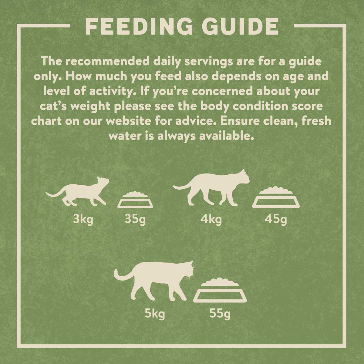 Cat dry food store recommendations