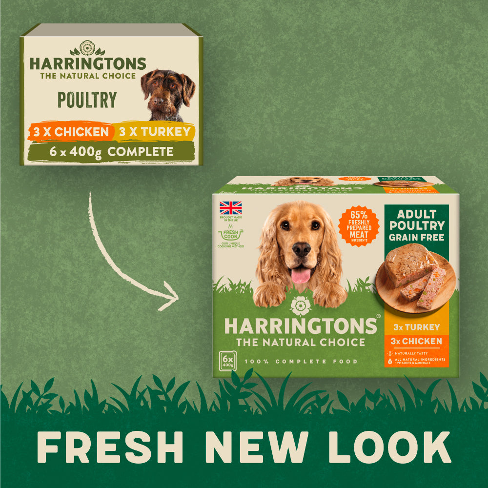 Harringtons puppy shop wet food