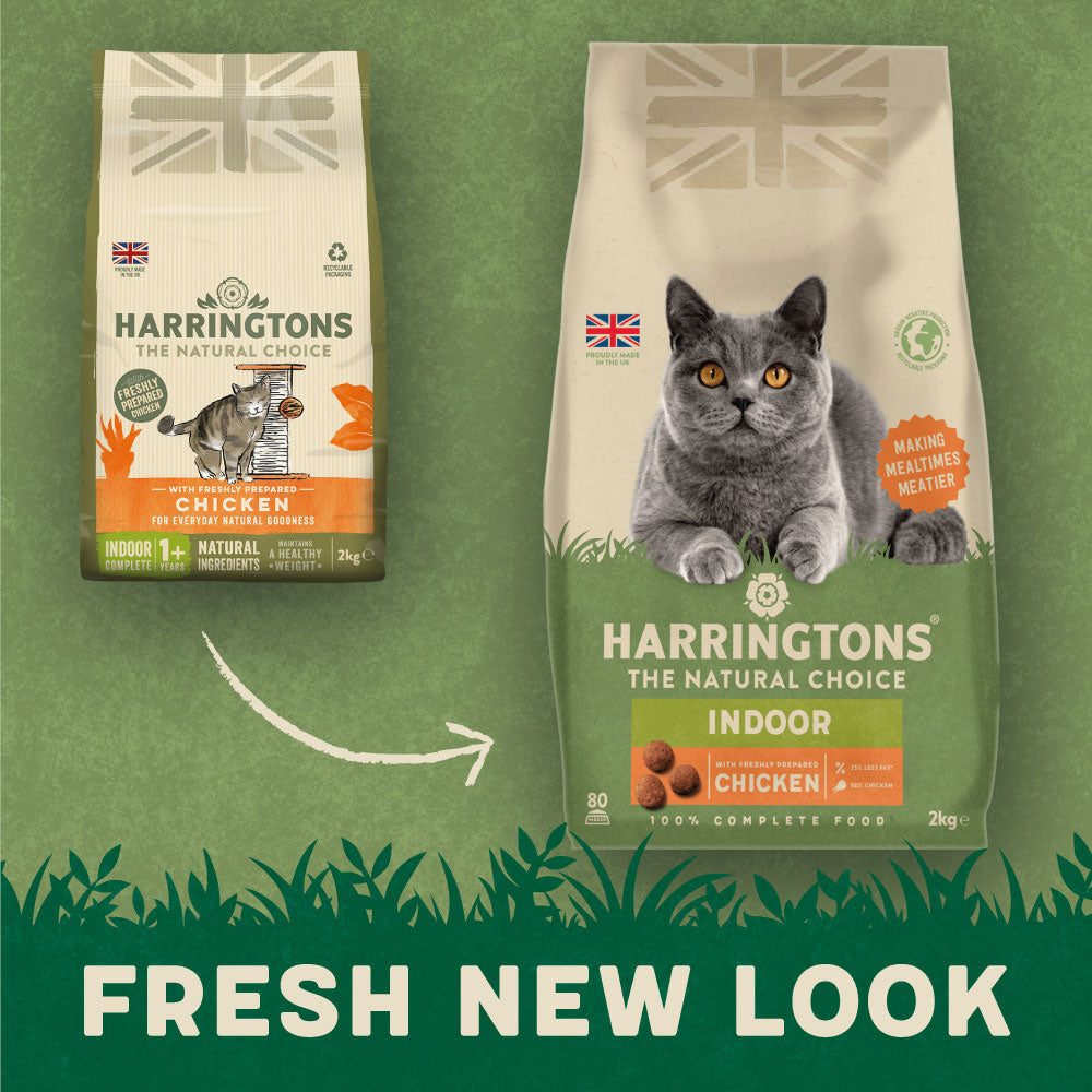 Harringtons Indoor Cat Food with Fresh Chicken Harringtons Pet Food