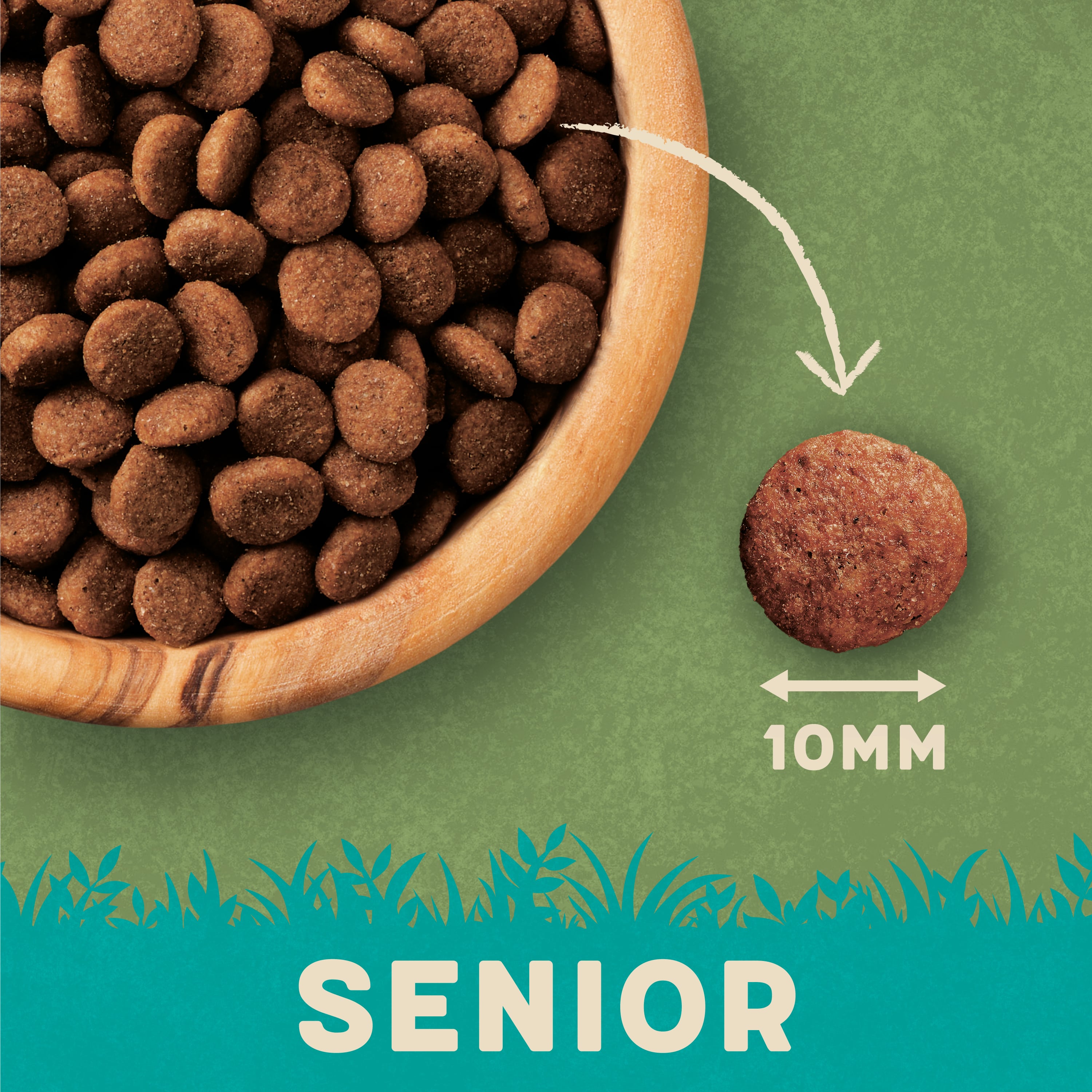 Acana senior best sale cat food