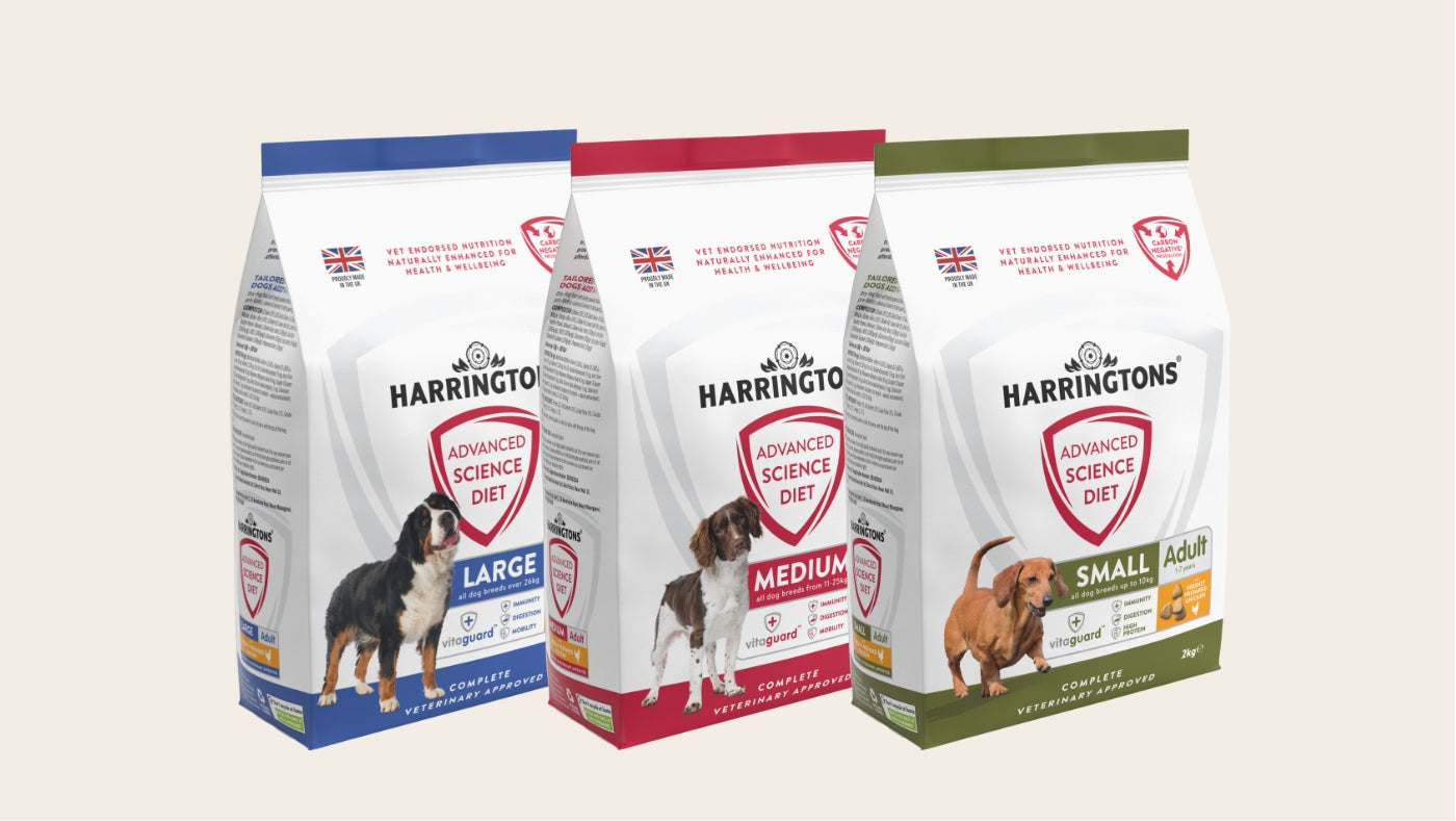 Harringtons puppy hotsell food feeding guide