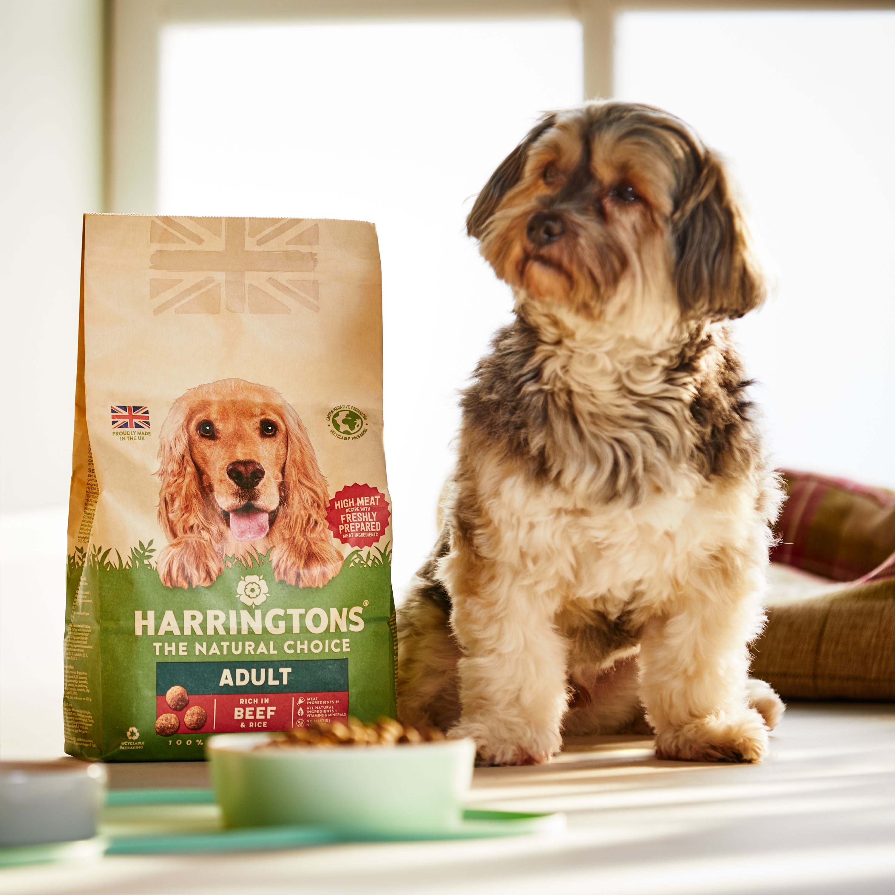 Harringtons hypoallergenic dog food clearance asda