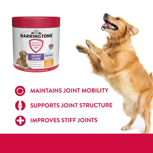 Senior dog 2025 food for joints