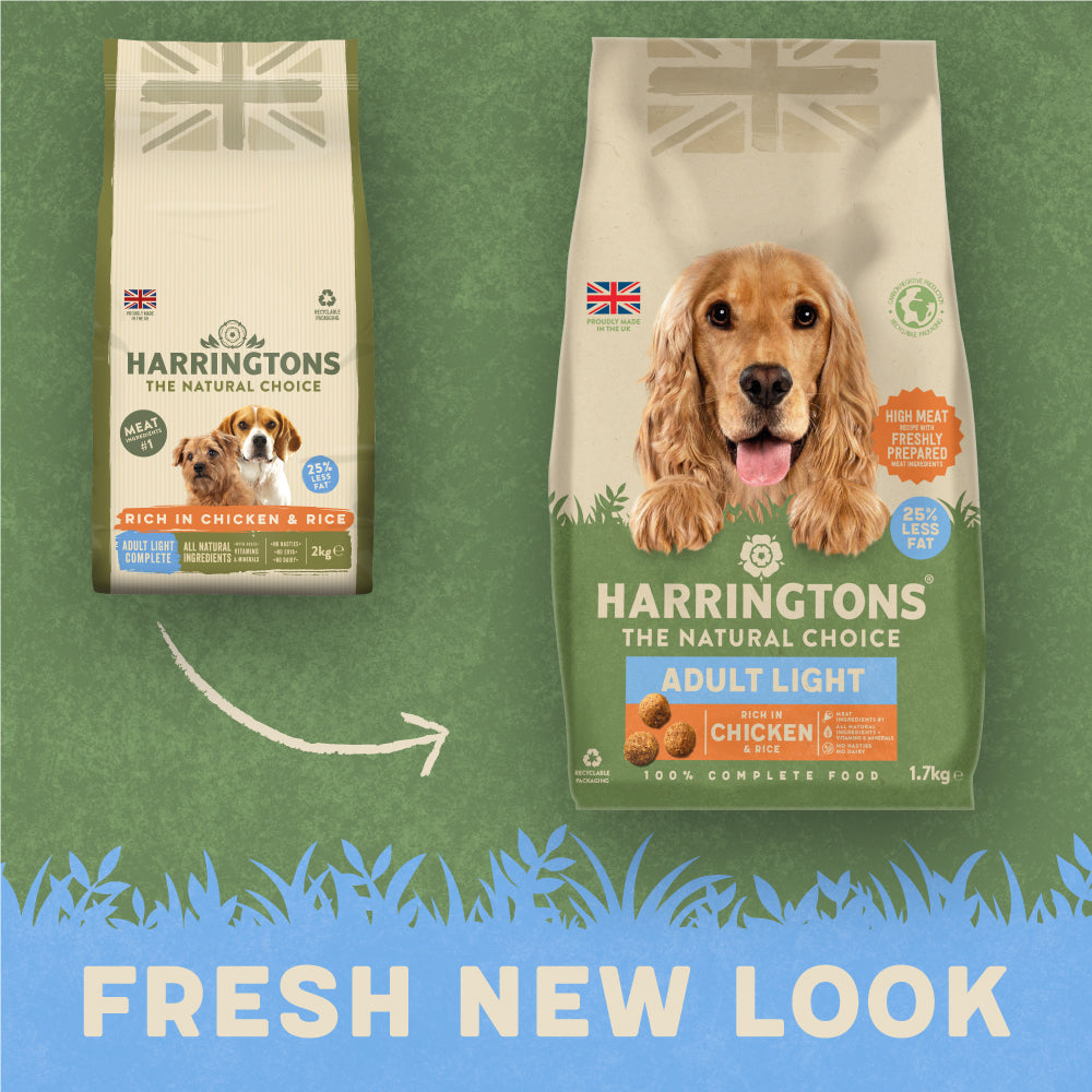 Harringtons chicken and rice hotsell dog food