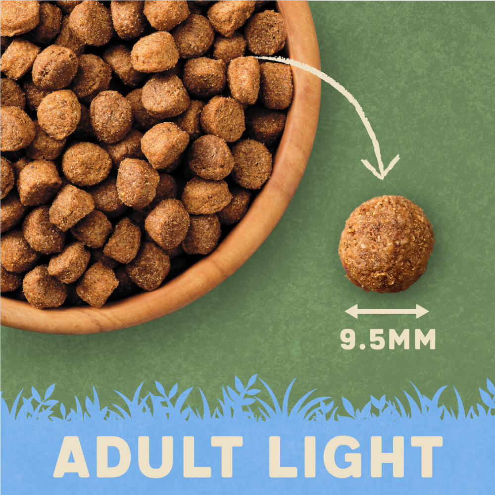 Best light dry sales dog food