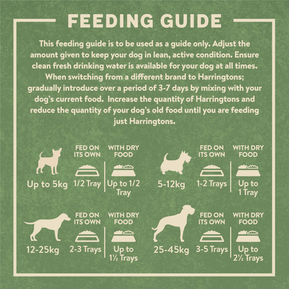 Feeding dog clearance wet food