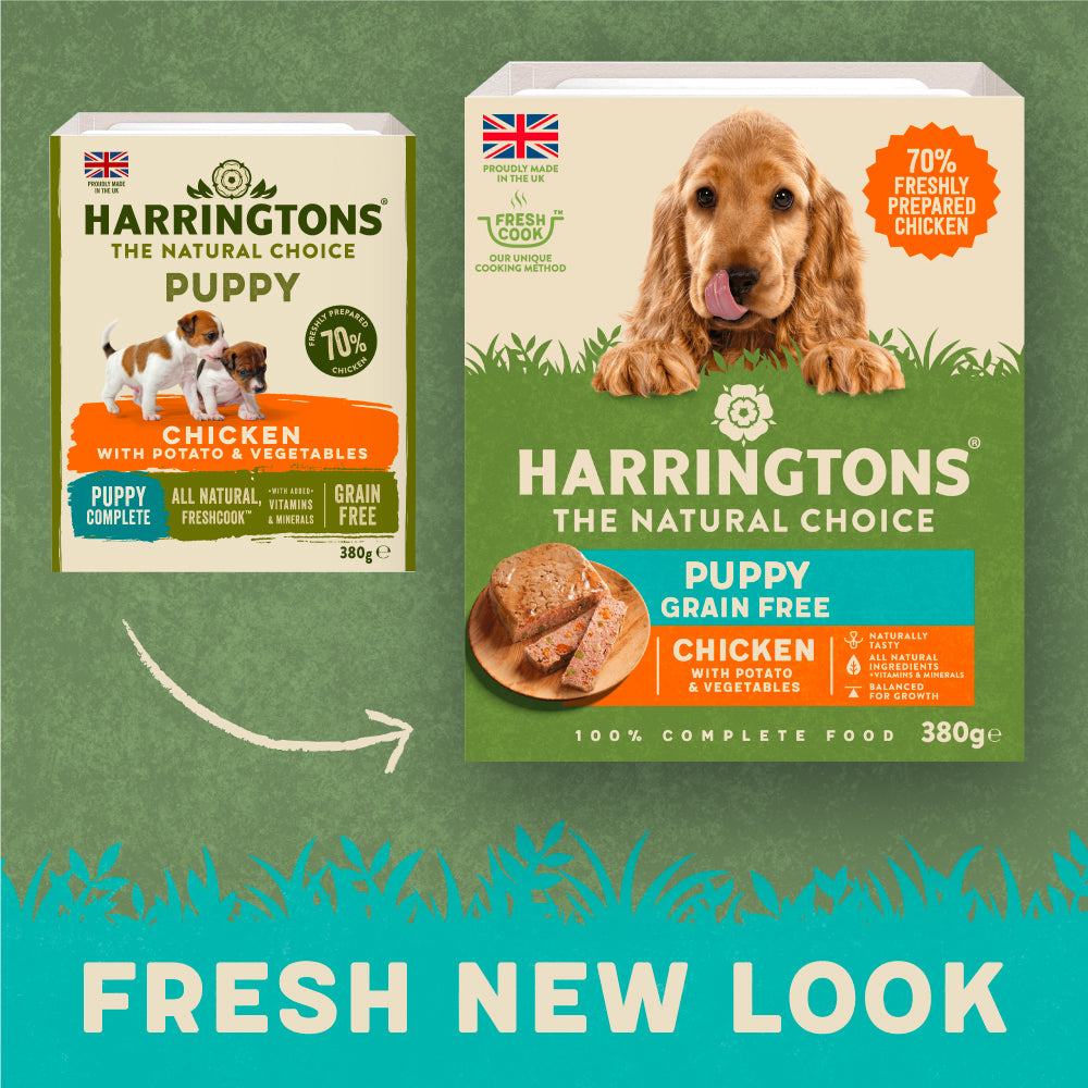 Harringtons Chicken With Potato Vegetables Wet Puppy Food 8 x