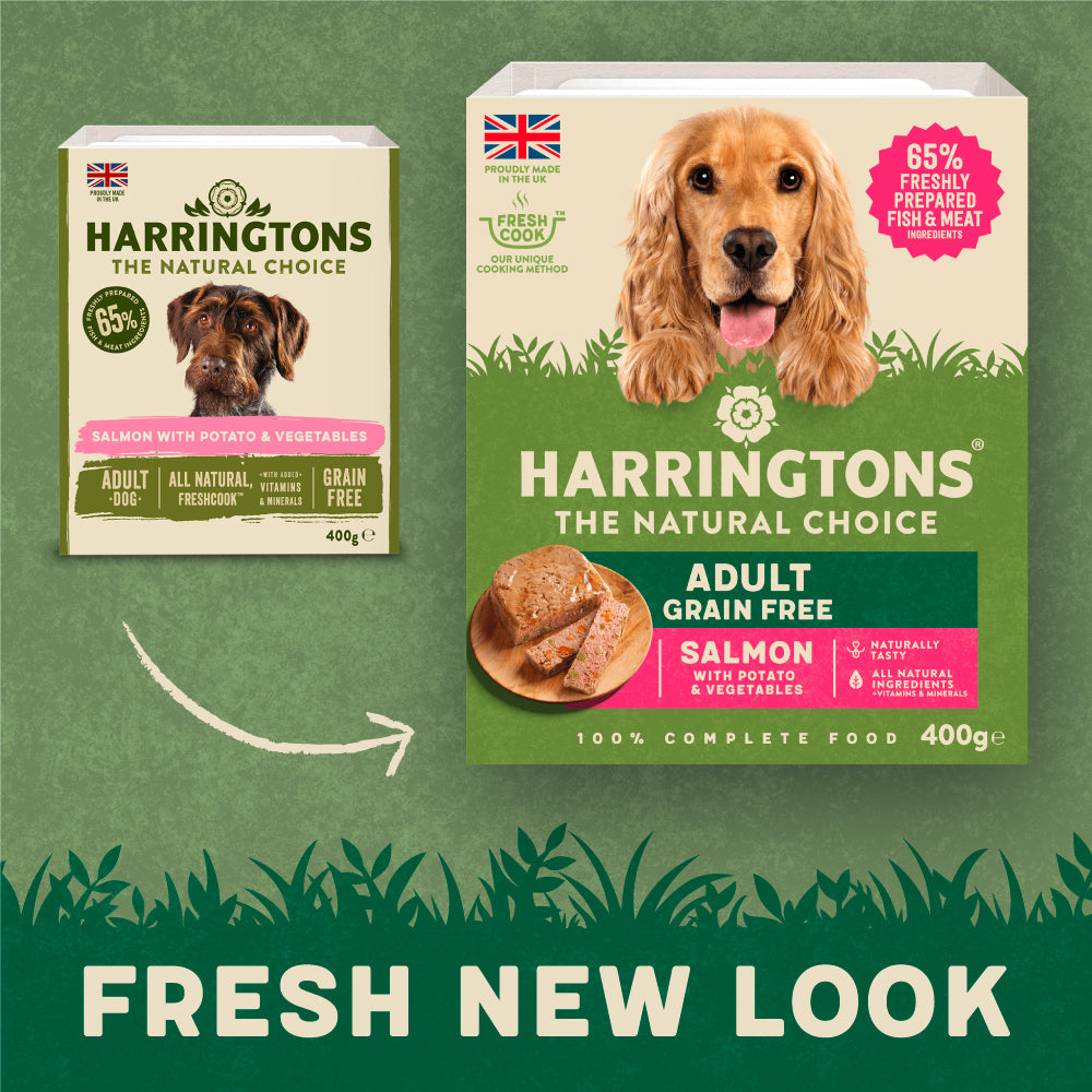 Harringtons grain free 2024 wet dog food