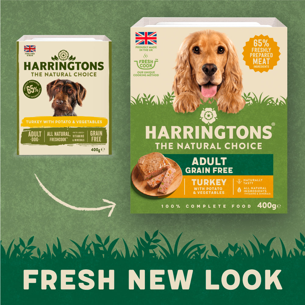 Harrington turkey and hot sale veg dog food