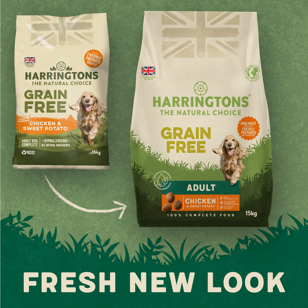 Harringtons chicken and outlet rice dog food 15kg