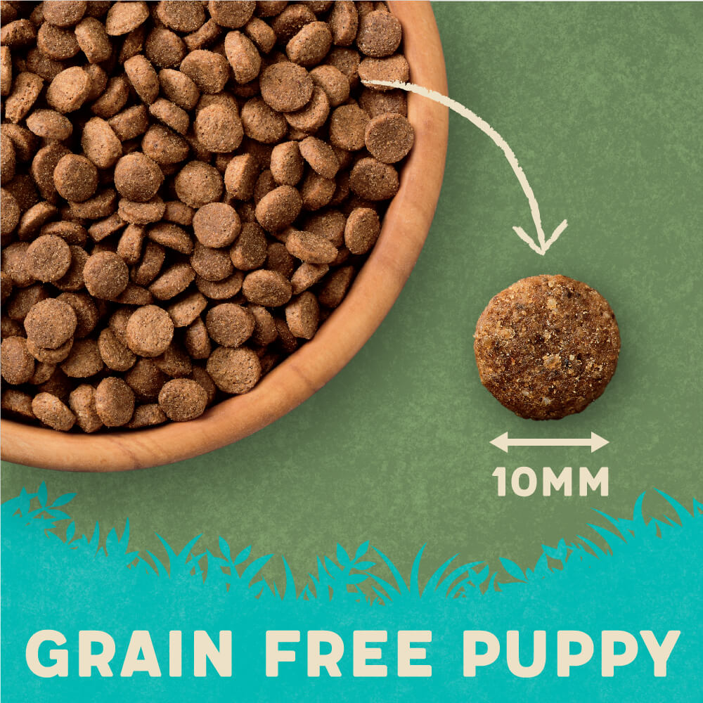 Best no sale grain puppy food