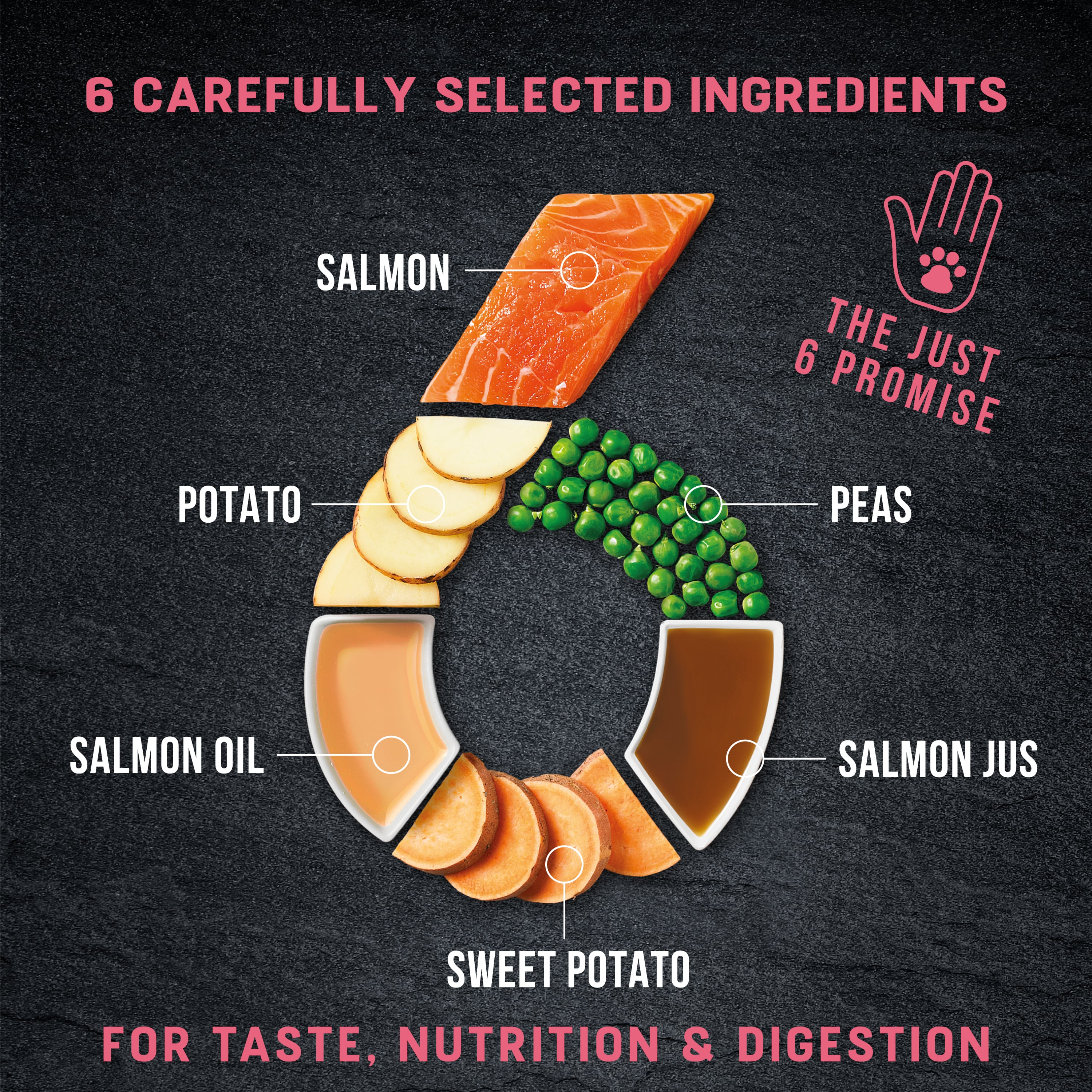 Salmon & Vegetable Dry Dog Food | Just 6 by Harringtons