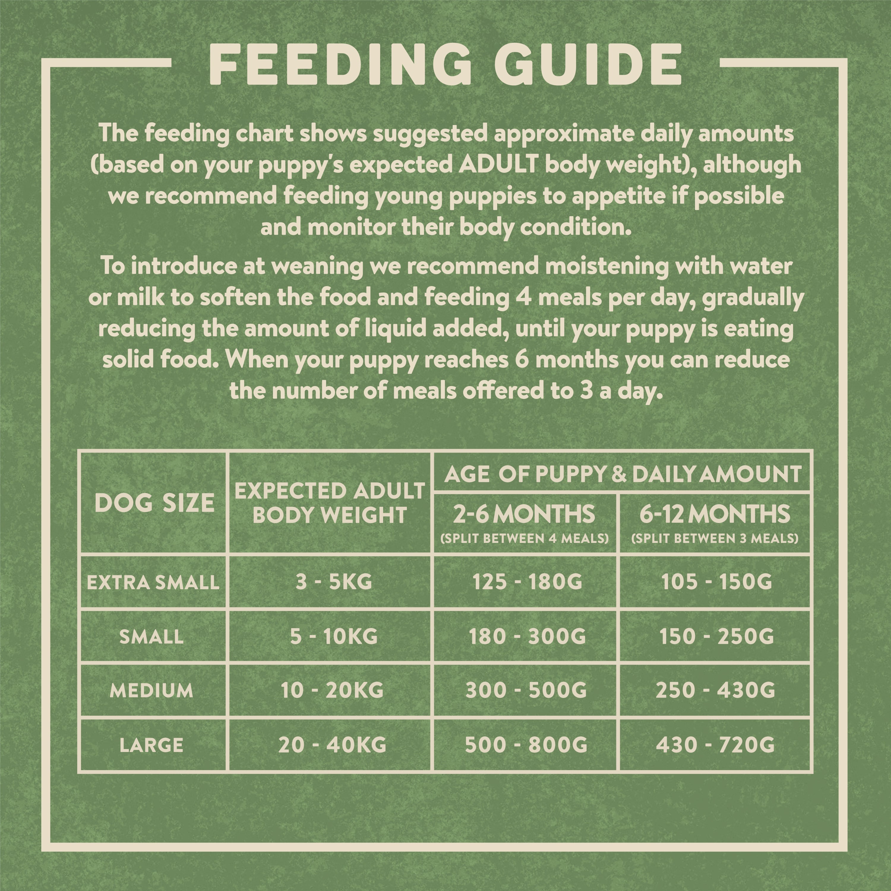 Staffy puppy outlet feeding guide