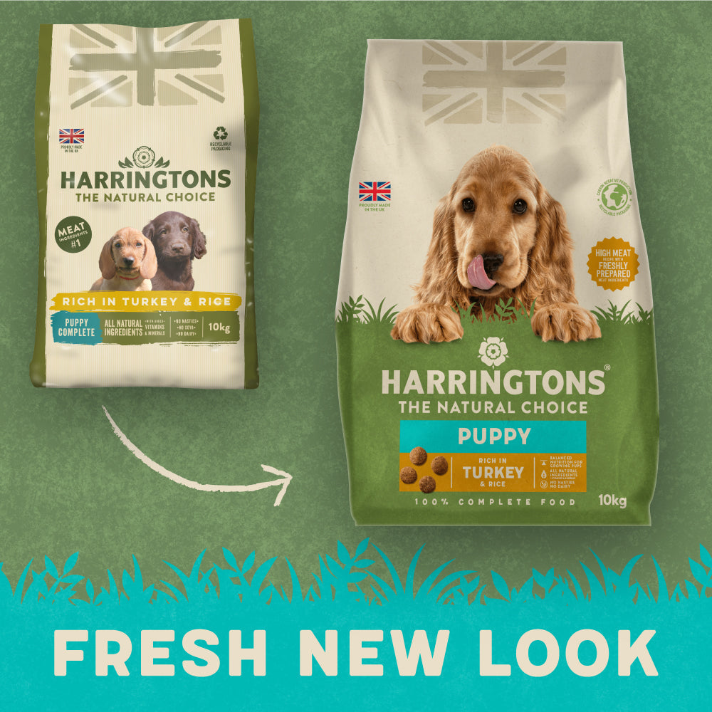 Harringtons puppy shop food wilko