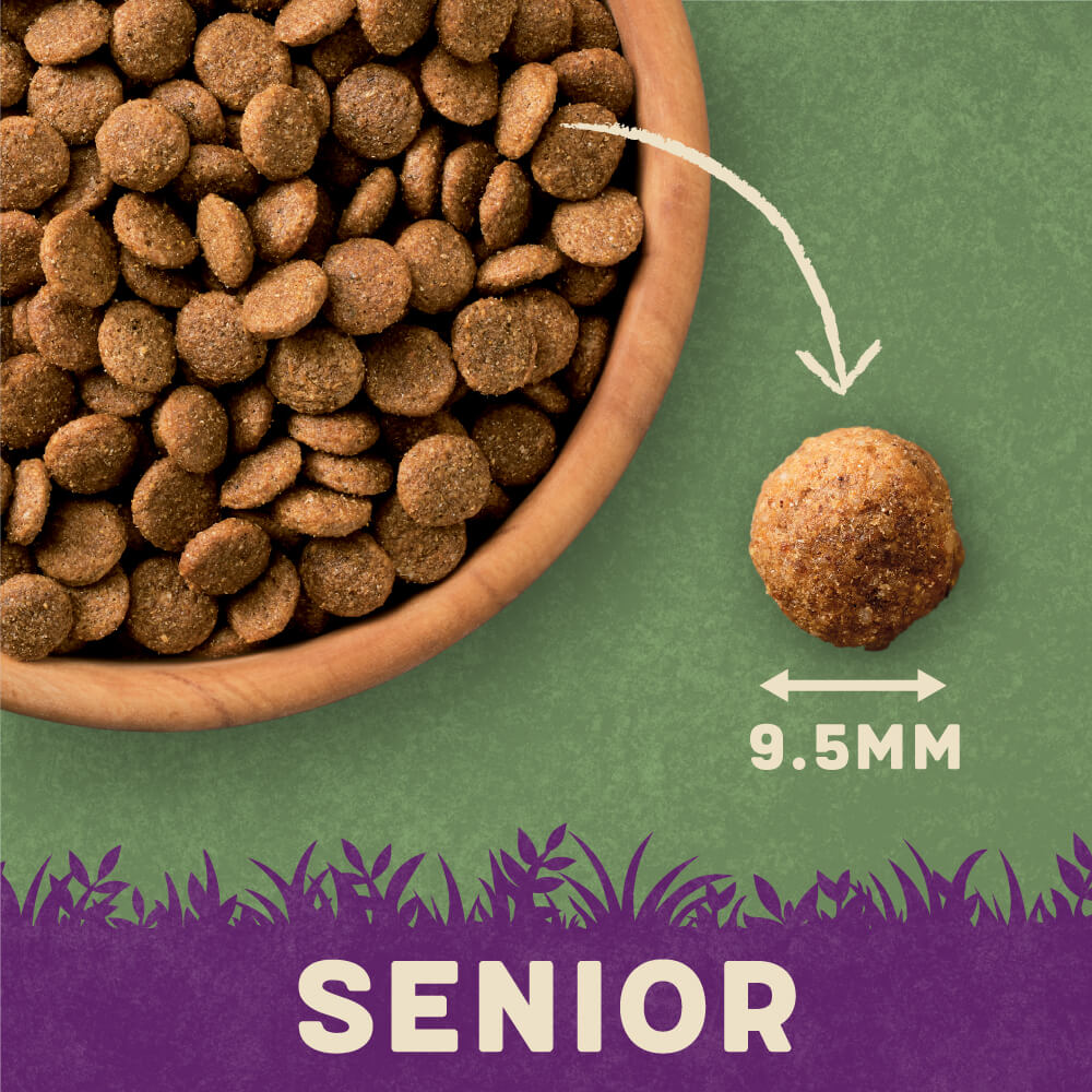 Soft kibble best sale for senior dogs