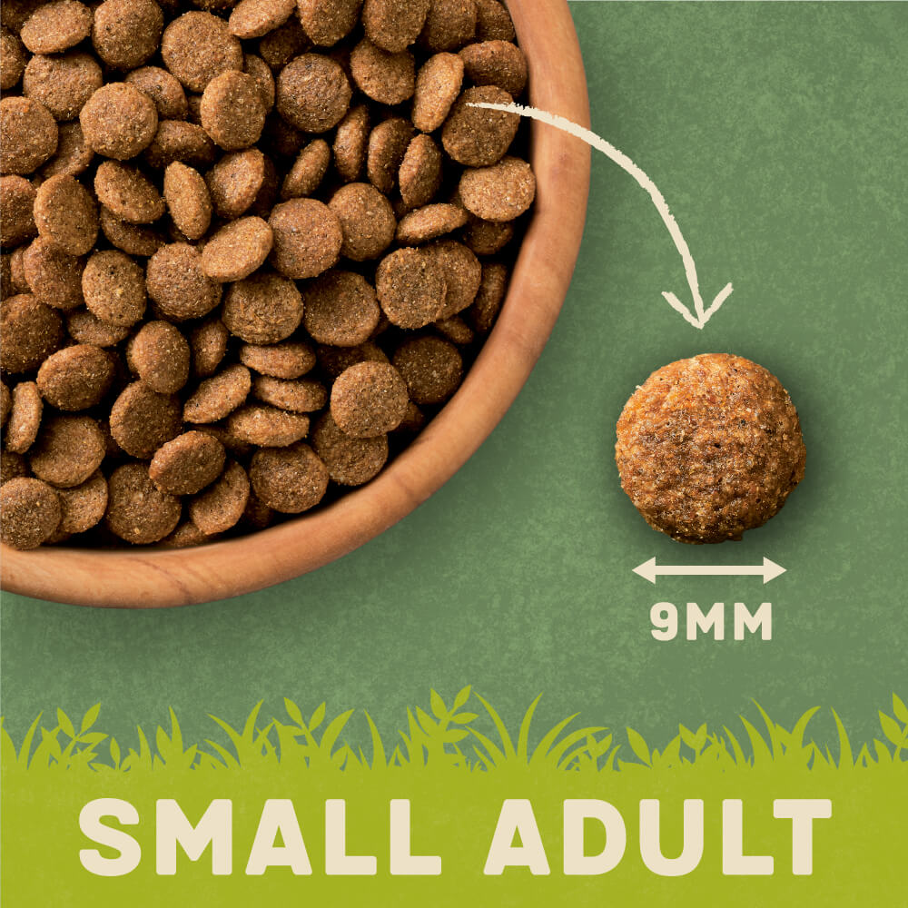 Dry dog 2025 food small kibble