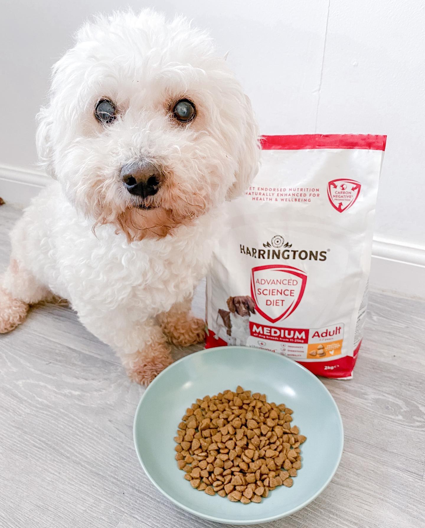 Health science hot sale puppy food