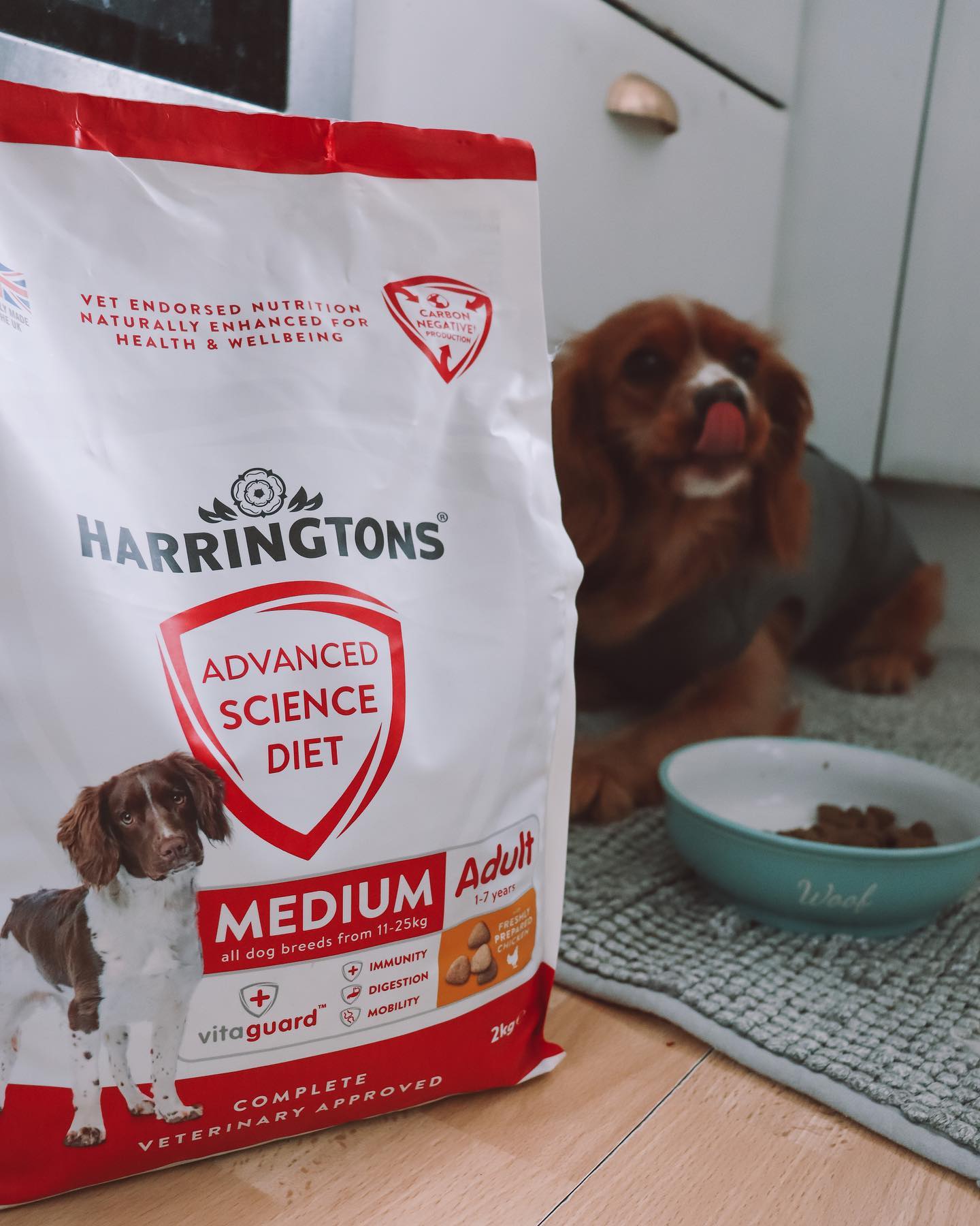 Harringtons Advanced Science Diet Dry Dog Food Medium Breed